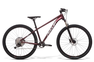 Amulet 29 Night cat 6.0 SH 17"/M orient red/white - 2024