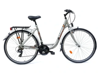 VT-BIKE Polly 28" šedostříbrná 2024
